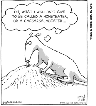 brevity